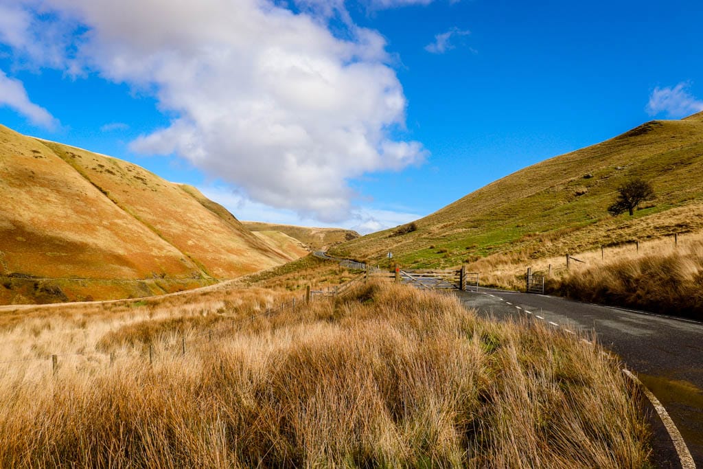 CambrianMountains-156-1