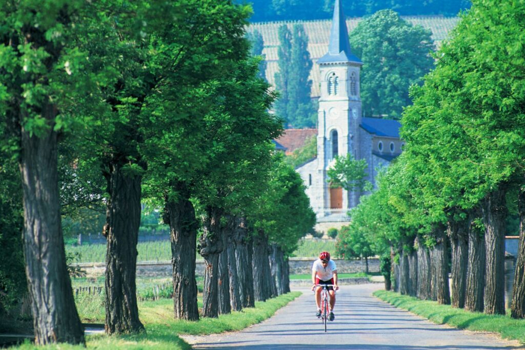 The Best Cycling Roads in Northern France